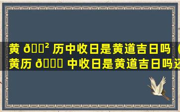 黄 🌲 历中收日是黄道吉日吗（黄历 🐘 中收日是黄道吉日吗还是忌日）